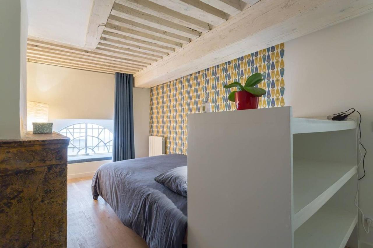 Character Apartment 6 People - City Center Lione Esterno foto